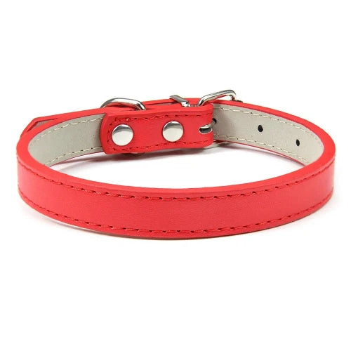 Collier pour Chihuahua en cuir uni rouge. Tendance, pour offrir confort et sécurité à votre petit chien ou chat