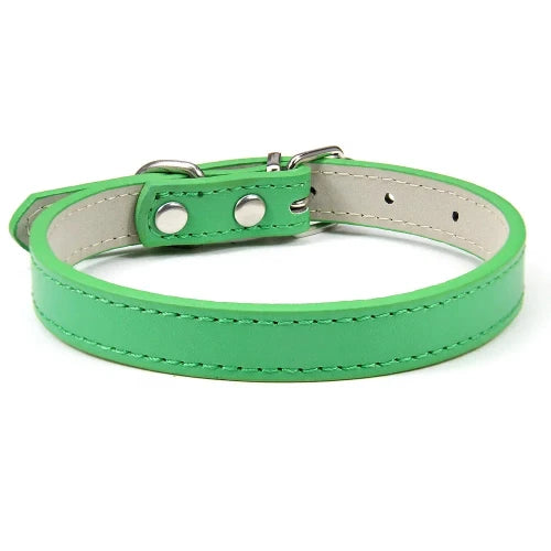 Collier pour Chihuahua en cuir uni vert. Tendance, pour offrir confort et sécurité à votre petit chien ou chat