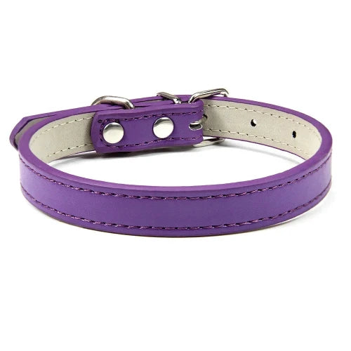 Collier pour Chihuahua en cuir uni violet. Tendance, pour offrir confort et sécurité à votre petit chien ou chat