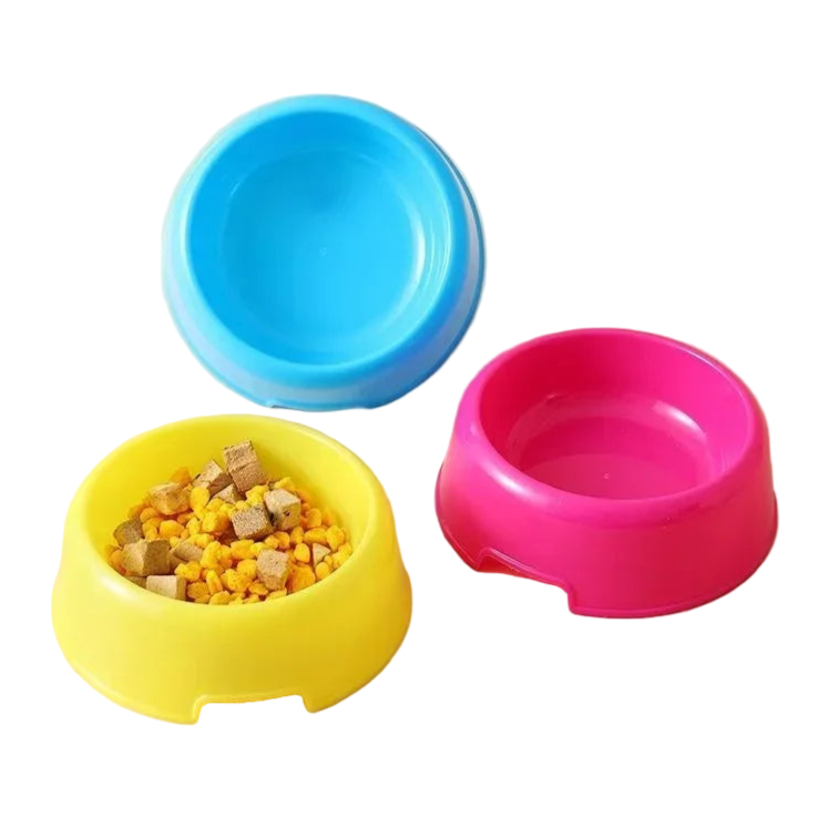 Gamelle Chien : Petite gamelle colorée en plastique