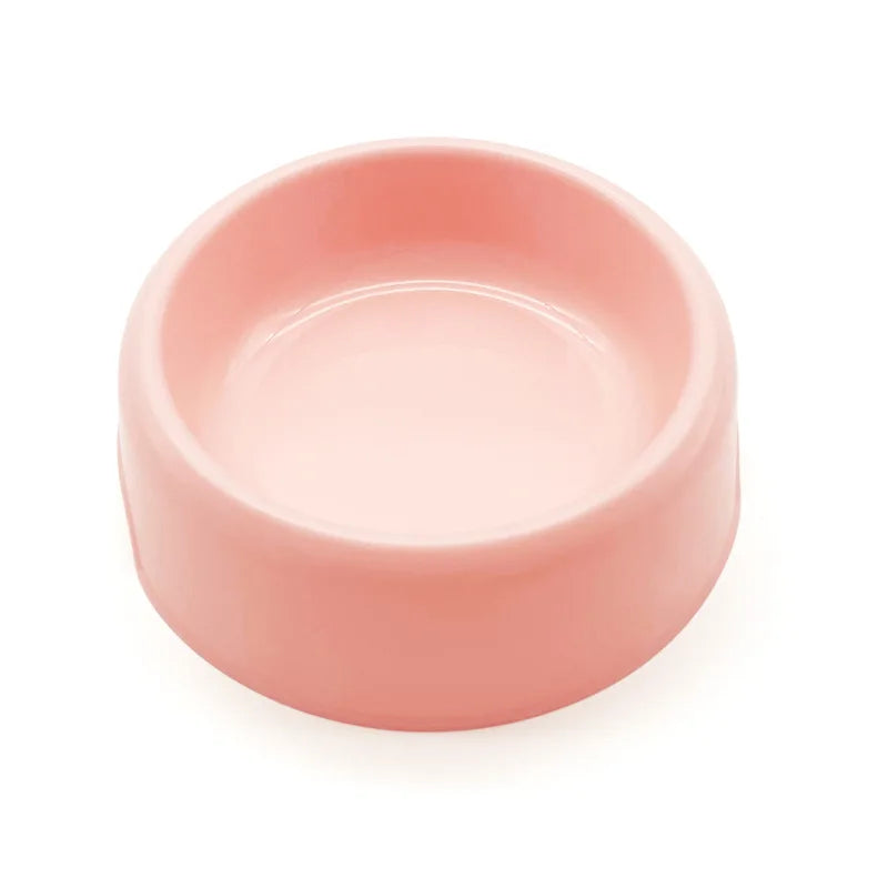 Gamelle Chihuahua : Petite gamelle plastique colorée