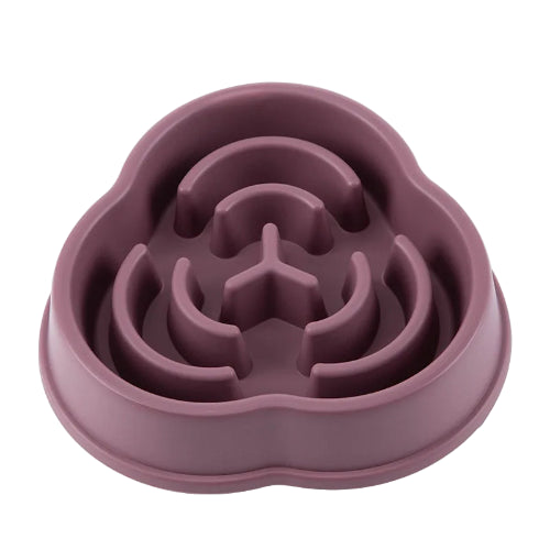 Gamelle Chien : Anti gloutons motifs ludiques