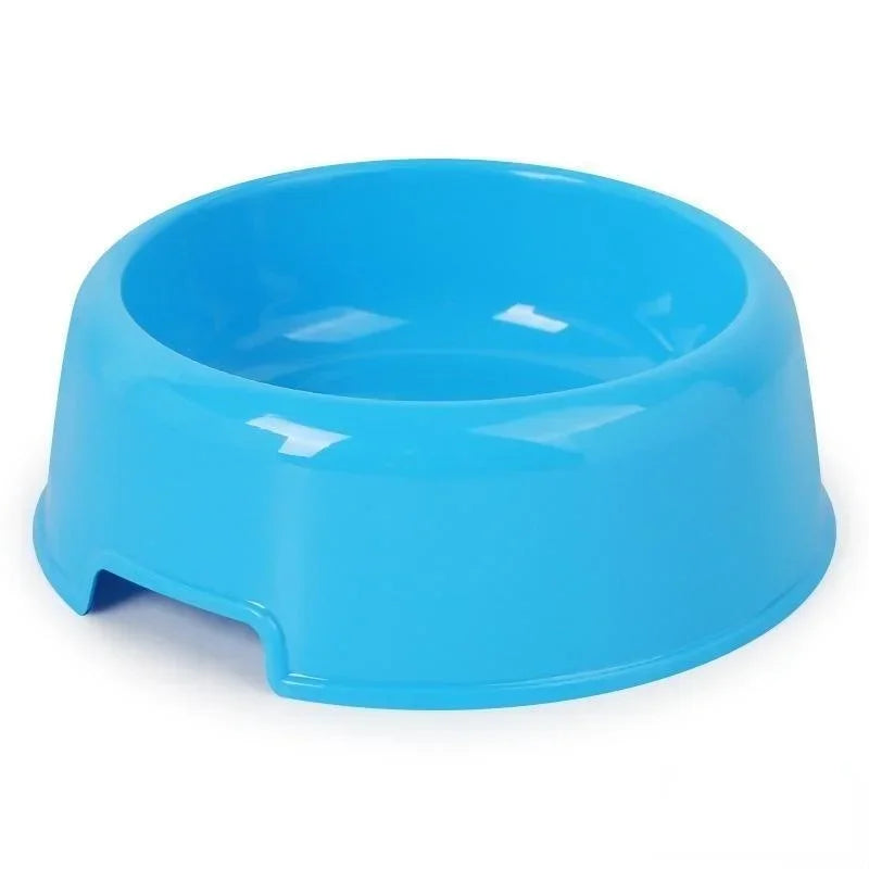 Gamelle Chien : Petite gamelle colorée en plastique