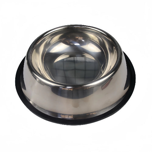 Gamelle Chien : Antidérapante en inox