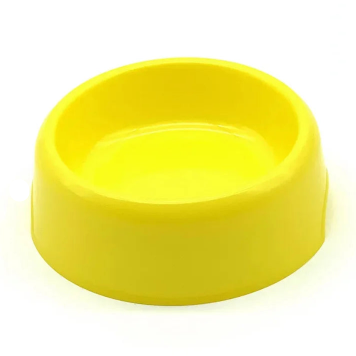 Gamelle Chihuahua : Petite gamelle plastique colorée