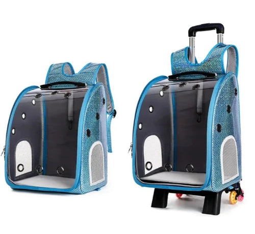 Sac à dos bleu et bulle transparente pour transporter votre Chihuahua - avec roulettes pour emmener votre petit chien ou chat