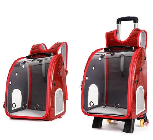 Sac à dos rouge et bulle transparente pour transporter votre Chihuahua - avec roulettes pour emmener votre petit chien ou chat