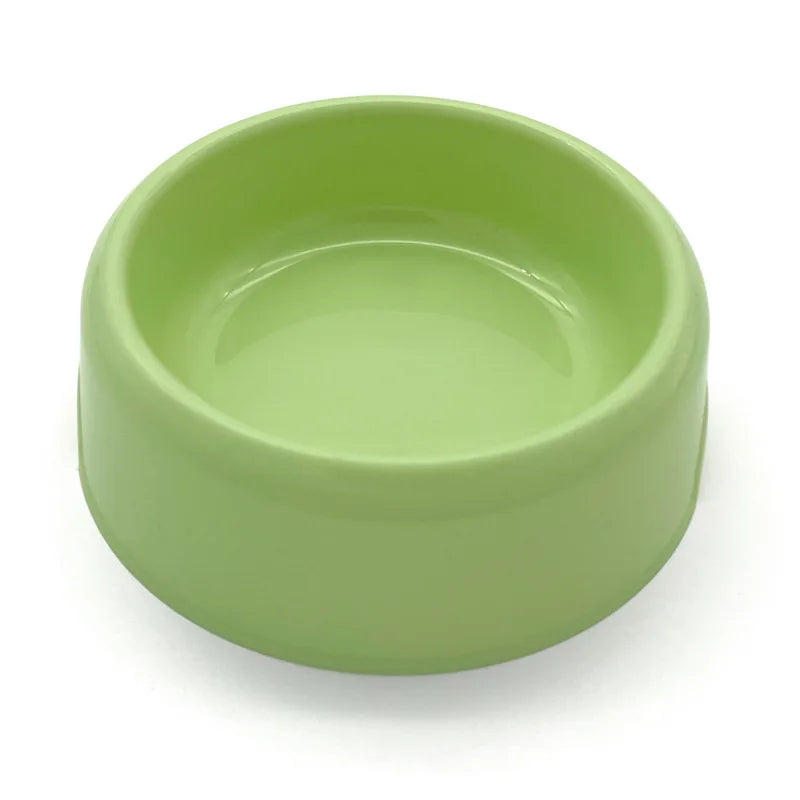 Gamelle Chihuahua : Petite gamelle plastique colorée