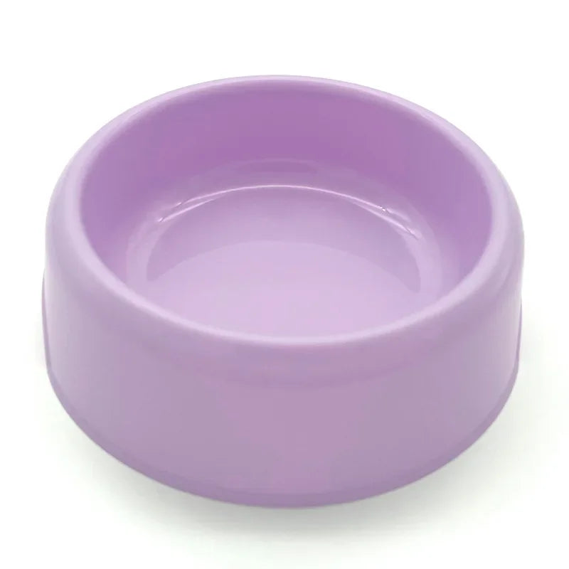 Gamelle Chihuahua : Petite gamelle plastique colorée