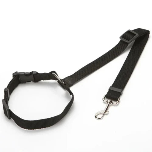 Accessoire pour Chihuahua - Ceinture de voiture noire avec attache – Sécurisée et ajustable pour attacher votre petit chien ou chat