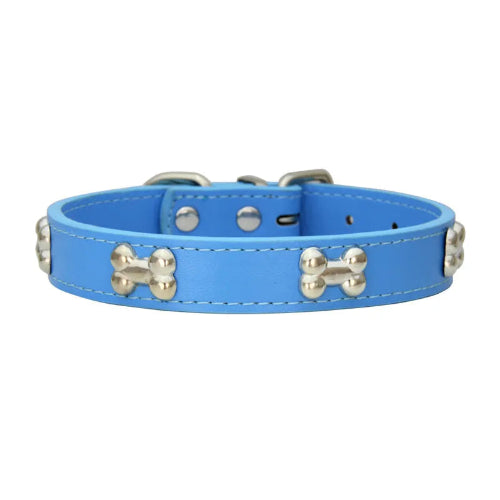 Collier pour Chihuahua en cuir bleu avec motifs os. Résistant pour offrir confort et sécurité à votre petit chien ou chat