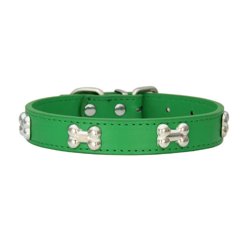 Collier pour Chihuahua en cuir vert avec motifs os. Résistant pour offrir confort et sécurité à votre petit chien ou chat