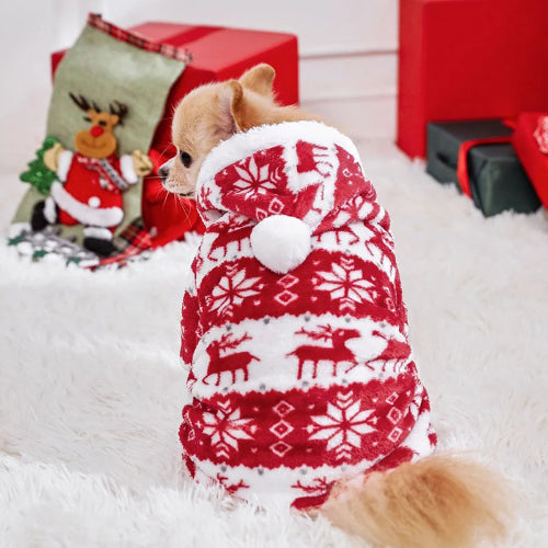 Déguisement de Noël rouge et blanc pour Chihuahua – Festif et confortable, parfait pour habiller votre petit chien ou chat - vue de dos