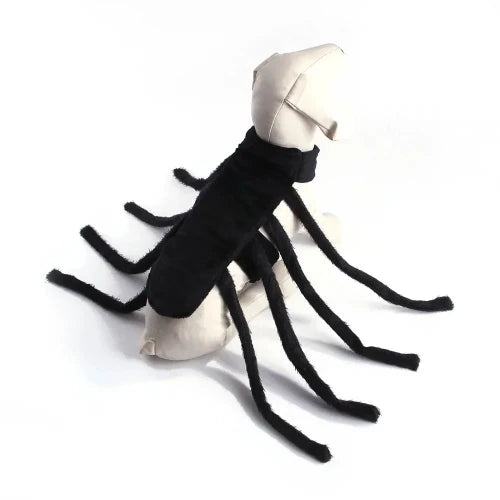 Déguisement Chihuahua : costume d’araignée confortable et tendance, parfait pour les fêtes, évènements, anniversaires ou halloween – taille parfaite pour les petits chiens - vue de face