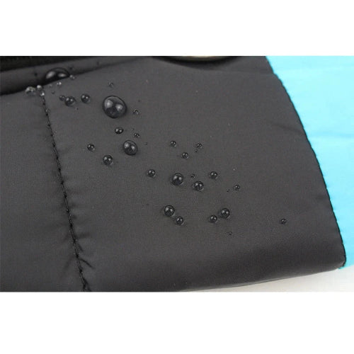 Manteau pour Chihuahua : Doudoune noire et bleue – Avec attache, chaude, idéale pour protéger votre petit chien ou chat du froid