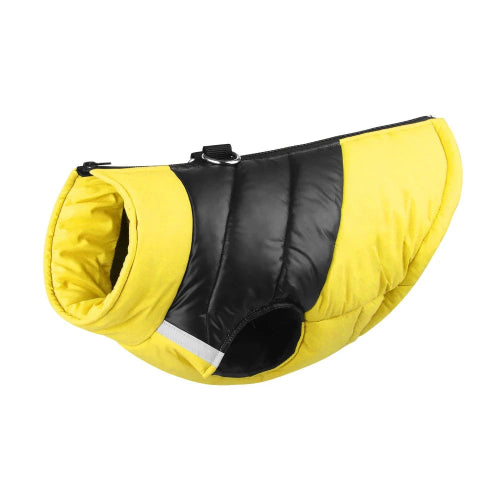 Manteau pour Chihuahua : Doudoune jaune et noire – Chaude et stylée, idéale pour protéger votre petit chien ou chat du froid