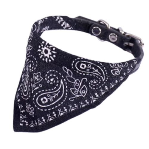 Déguisement Chihuahua : foulard noir confortable et tendance, parfait pour les fêtes, évènements, anniversaires ou Halloween – taille parfaite pour les petits chiens