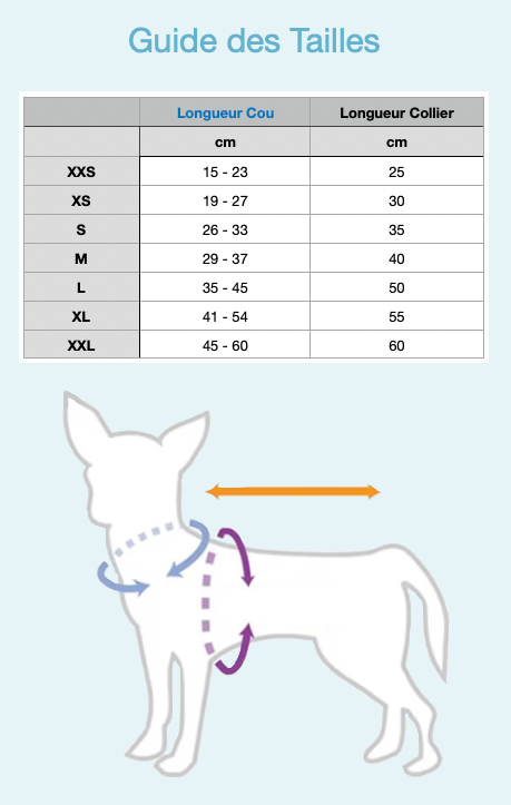 guide des tailles pour les colliers pour chiens sur le site mon petit chihuahua