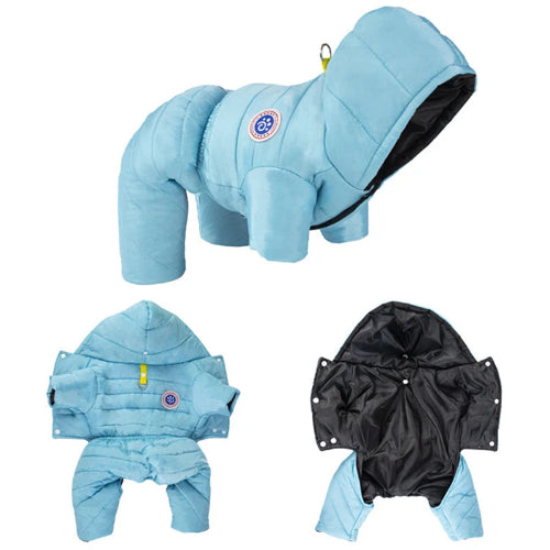 K-way pour Chihuahua flashy bleu - Manteau imperméable, parfait pour protéger votre petit chien ou chat de la pluie - vues multiples