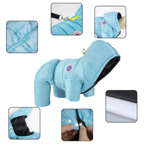 K-way pour Chihuahua flashy bleu - Manteau imperméable, parfait pour protéger votre petit chien ou chat de la pluie - vues des détails
