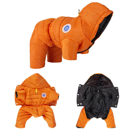 K-way pour Chihuahua flashy orange - Manteau imperméable, parfait pour protéger votre petit chien ou chat de la pluie - vues multiples
