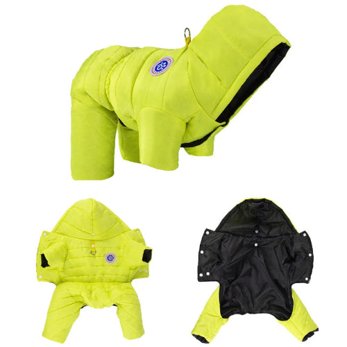 K-way pour Chihuahua flashy vert - Manteau imperméable, parfait pour protéger votre petit chien ou chat de la pluie - vues multiples