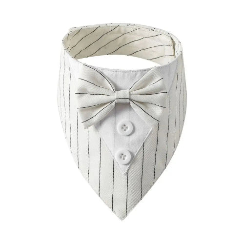 Déguisement Chihuahua : noeud papillon blanc à rayures pour smoking confortable et tendance, parfait pour les fêtes, évènements, anniversaires ou halloween – taille parfaite pour les petits chiens