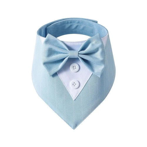 Déguisement Chihuahua : noeud papillon bleu pour smoking confortable et tendance, parfait pour les fêtes, évènements, anniversaires ou halloween – taille parfaite pour les petits chiens