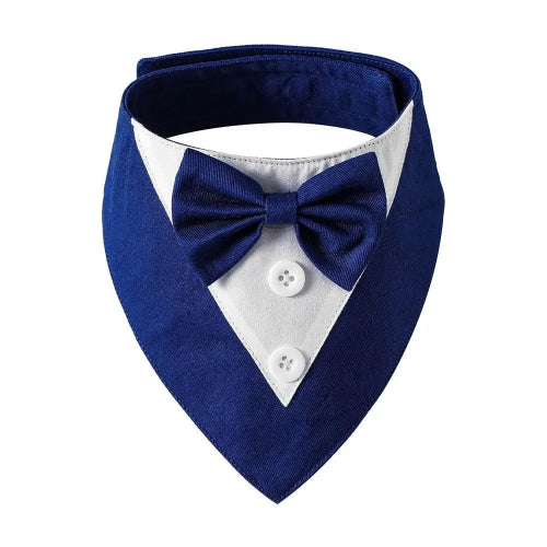 Déguisement Chihuahua : noeud papillon bleu pour smoking confortable et tendance, parfait pour les fêtes, évènements, anniversaires ou halloween – taille parfaite pour les petits chiens