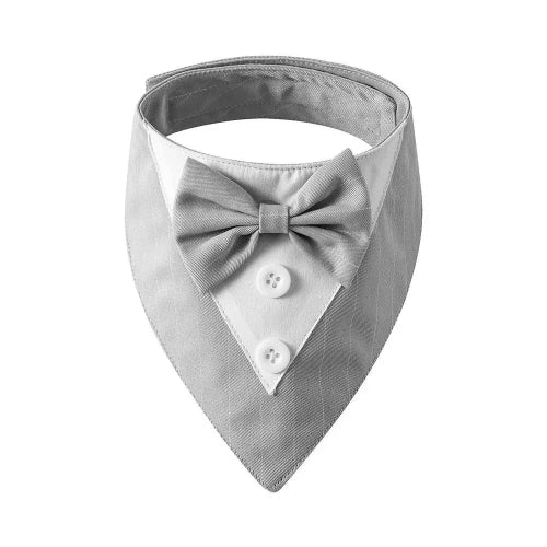 Déguisement Chihuahua : noeud papillon gris pour smoking confortable et tendance, parfait pour les fêtes, évènements, anniversaires ou halloween – taille parfaite pour les petits chiens