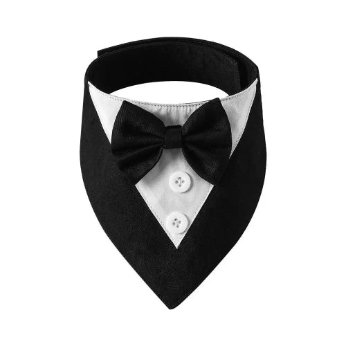 Déguisement Chihuahua : noeud papillon noir pour smoking confortable et tendance, parfait pour les fêtes, évènements, anniversaires ou halloween – taille parfaite pour les petits chiens