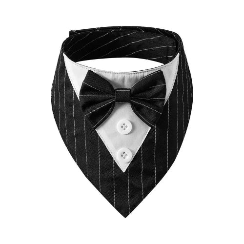 Déguisement Chihuahua : noeud papillon noir à rayures pour smoking confortable et tendance, parfait pour les fêtes, évènements, anniversaires ou halloween – taille parfaite pour les petits chiens