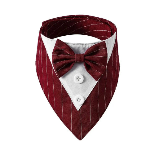 Déguisement Chihuahua : noeud papillon rouge à rayures pour smoking confortable et tendance, parfait pour les fêtes, évènements, anniversaires ou halloween – taille parfaite pour les petits chiens