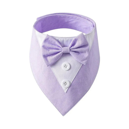 Déguisement Chihuahua : noeud papillon violet pour smoking confortable et tendance, parfait pour les fêtes, évènements, anniversaires ou halloween – taille parfaite pour les petits chiens