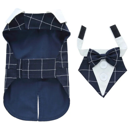 Déguisement Chihuahua : costume smoking bleu à carreaux confortable et tendance, parfait pour les fêtes, évènements, anniversaires ou halloween – taille parfaite pour les petits chiens