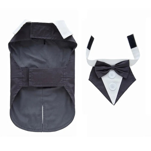 Déguisement Chihuahua : costume smoking gris confortable et tendance, parfait pour les fêtes, évènements, anniversaires ou halloween – taille parfaite pour les petits chiens