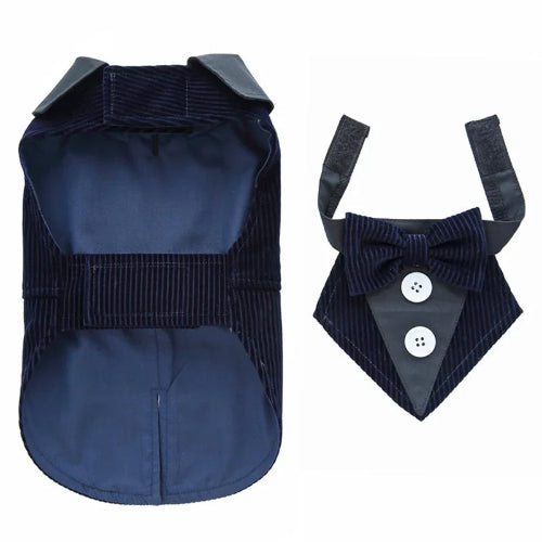 Déguisement Chihuahua : costume smoking marine en velours confortable et tendance, parfait pour les fêtes, évènements, anniversaires ou halloween – taille parfaite pour les petits chiens