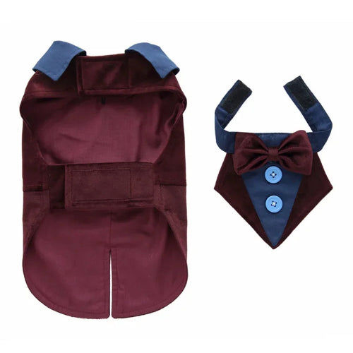 Déguisement Chihuahua : costume smoking marron confortable et tendance, parfait pour les fêtes, évènements, anniversaires ou halloween – taille parfaite pour les petits chiens