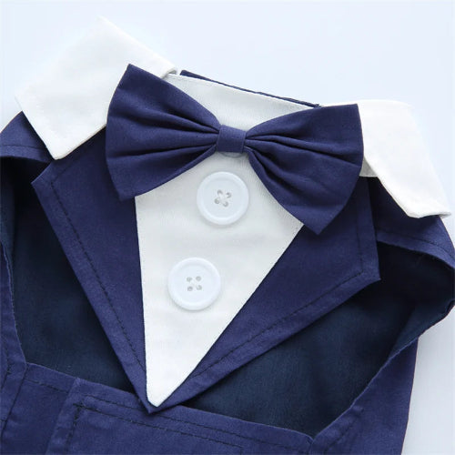 Déguisement Chihuahua : costume smoking confortable et tendance, parfait pour les fêtes, évènements, anniversaires ou halloween – taille parfaite pour les petits chiens - vue du noeud papillon