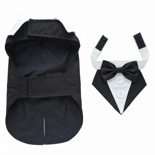 Déguisement Chihuahua : costume smoking noir confortable et tendance, parfait pour les fêtes, évènements, anniversaires ou halloween – taille parfaite pour les petits chiens
