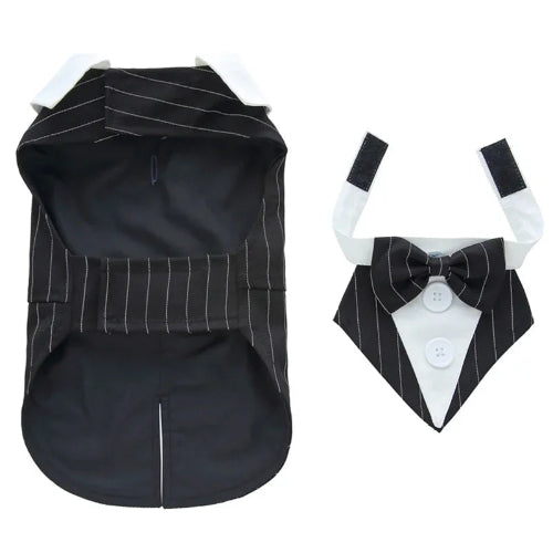 Déguisement Chihuahua : costume smoking noir a rayures confortable et tendance, parfait pour les fêtes, évènements, anniversaires ou halloween – taille parfaite pour les petits chiens