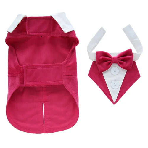 Déguisement Chihuahua : costume smoking rose confortable et tendance, parfait pour les fêtes, évènements, anniversaires ou halloween – taille parfaite pour les petits chiens