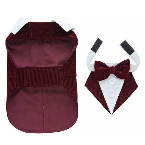 Déguisement Chihuahua : costume smoking bordeaux confortable et tendance, parfait pour les fêtes, évènements, anniversaires ou halloween – taille parfaite pour les petits chiens