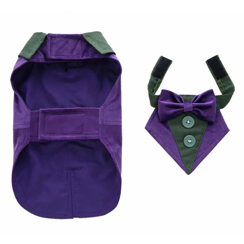 Déguisement Chihuahua : costume smoking violet confortable et tendance, parfait pour les fêtes, évènements, anniversaires ou halloween – taille parfaite pour les petits chiens