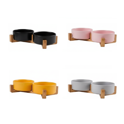 Gamelle Chien : Céramique colorée