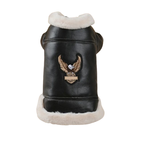 Chihuahua Coat: Black Leather Biker Jacket