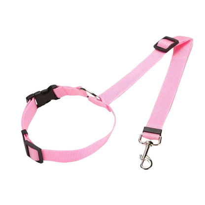 Collier Chihuahua : Ceinture Voiture