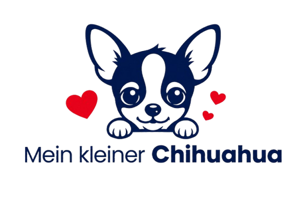 Mon Petit Chihuahua
