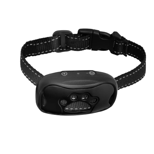 Collier pour Chihuahua anti aboiements noir et motif patte noire. Tendance, pour offrir confort et sécurité à votre petit chien ou chat