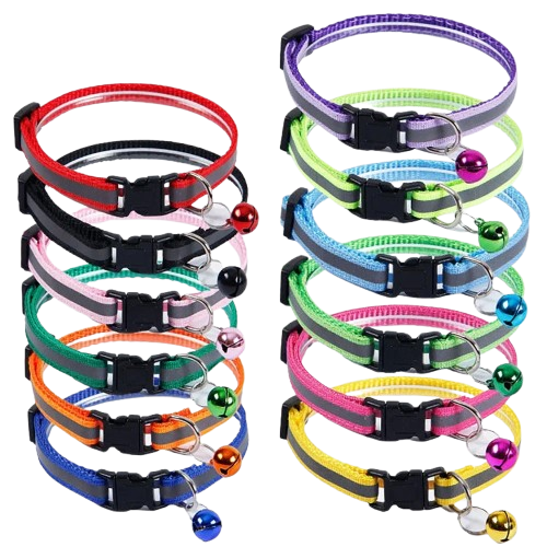 Collier pour Chihuahua avec grelots de plusieurs couleurs. Elégant, pour offrir confort et sécurité à votre petit chien ou chat